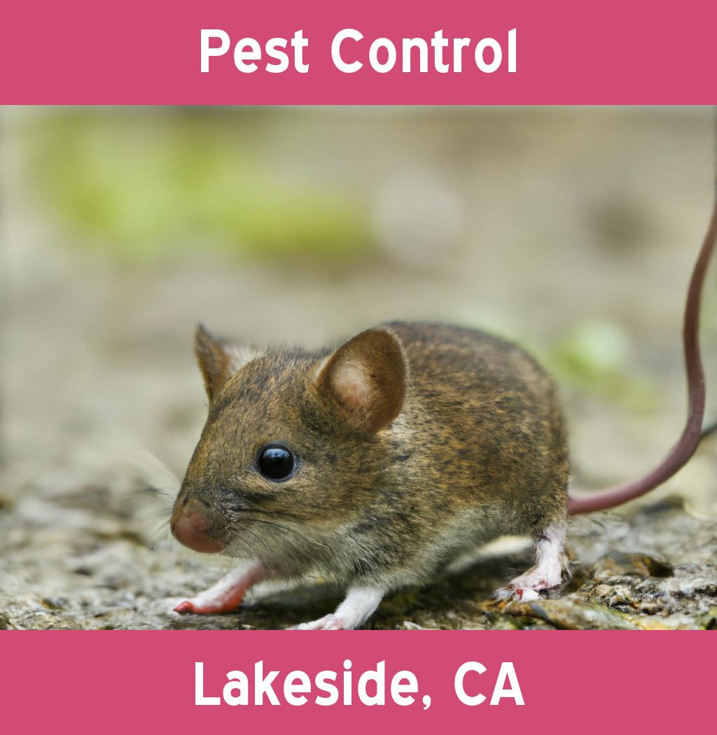 pest control in Lakeside California