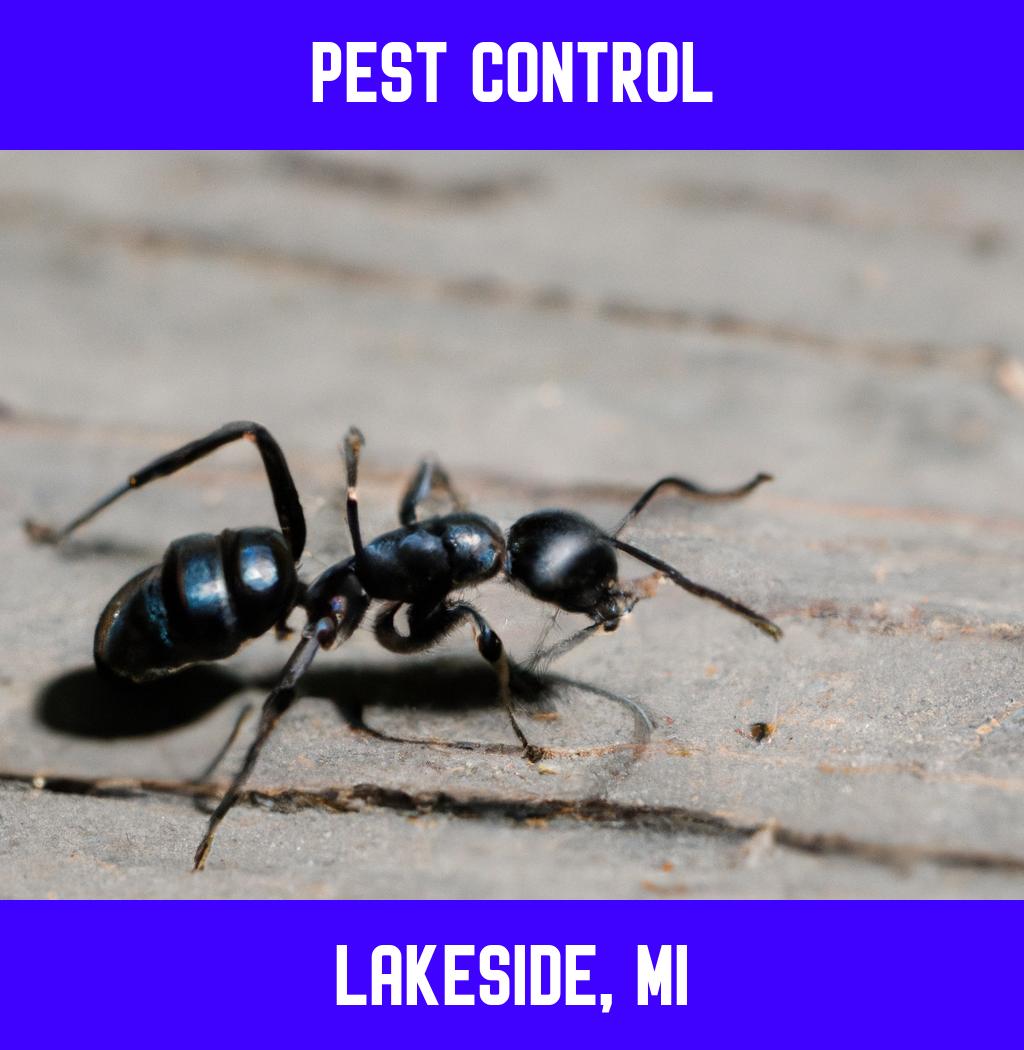 pest control in Lakeside Michigan