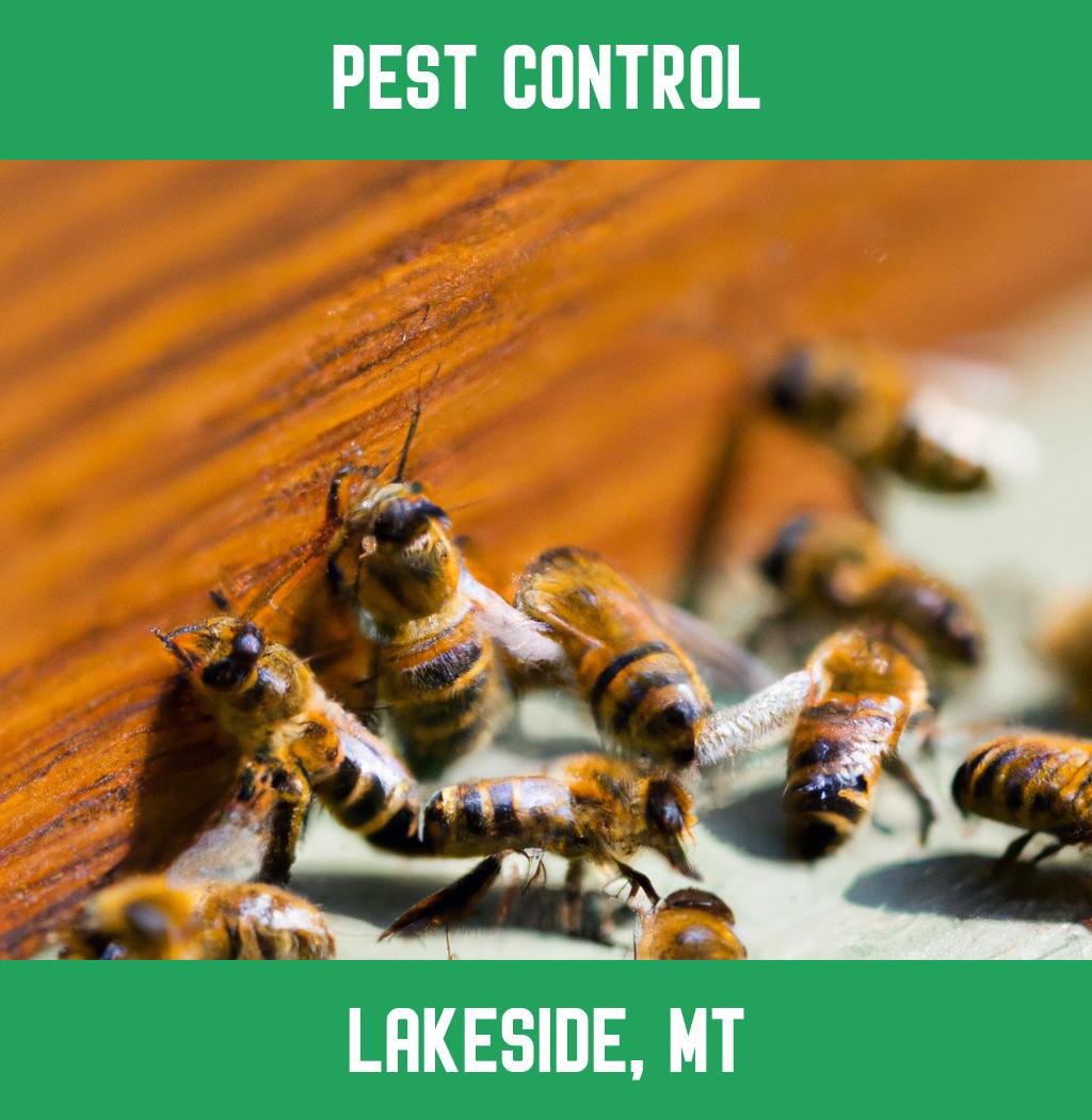 pest control in Lakeside Montana