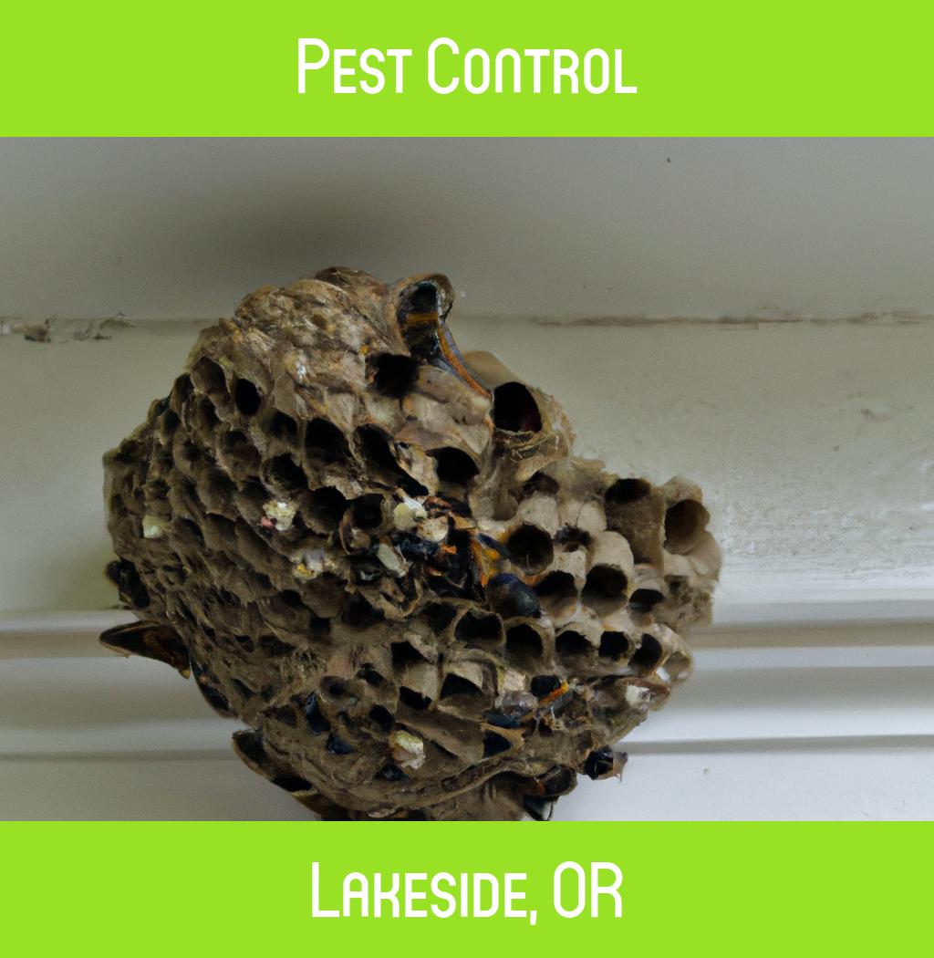 pest control in Lakeside Oregon