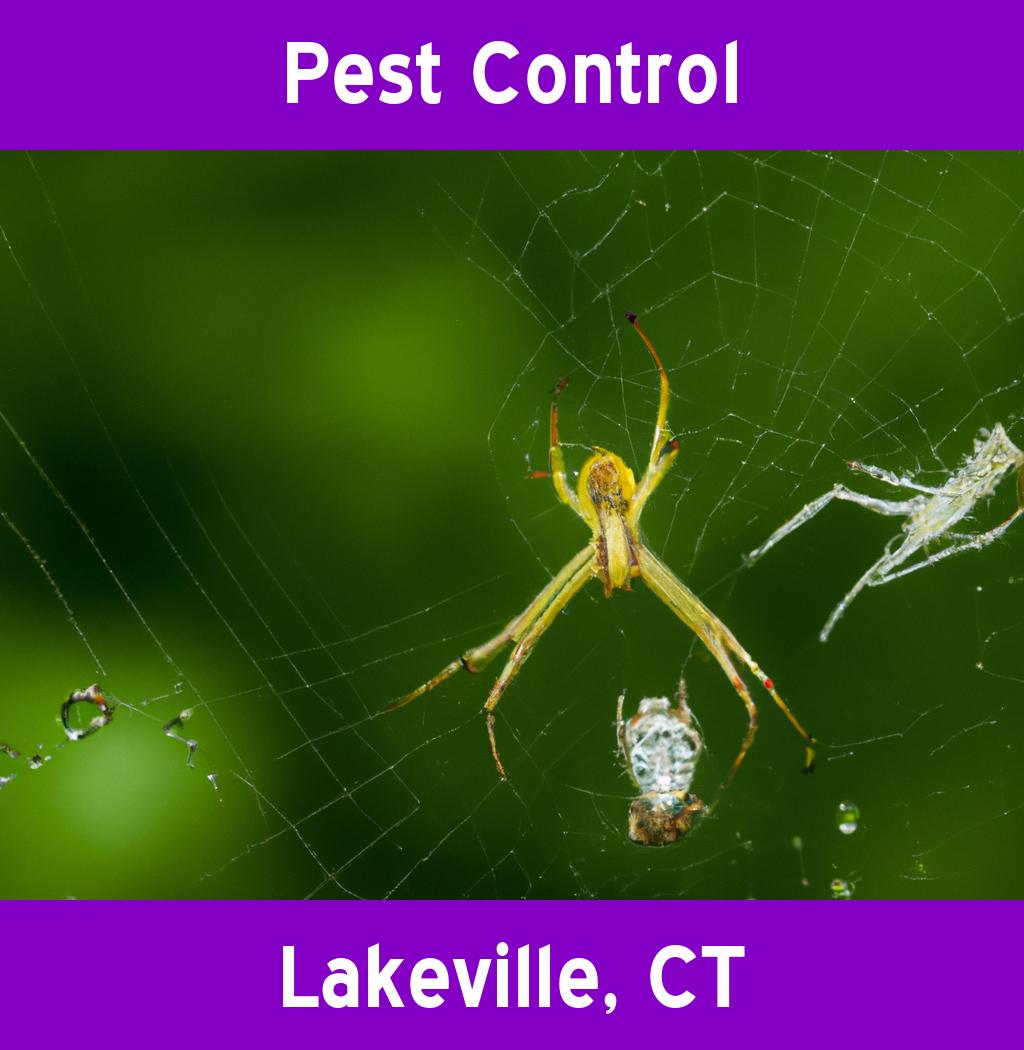 pest control in Lakeville Connecticut
