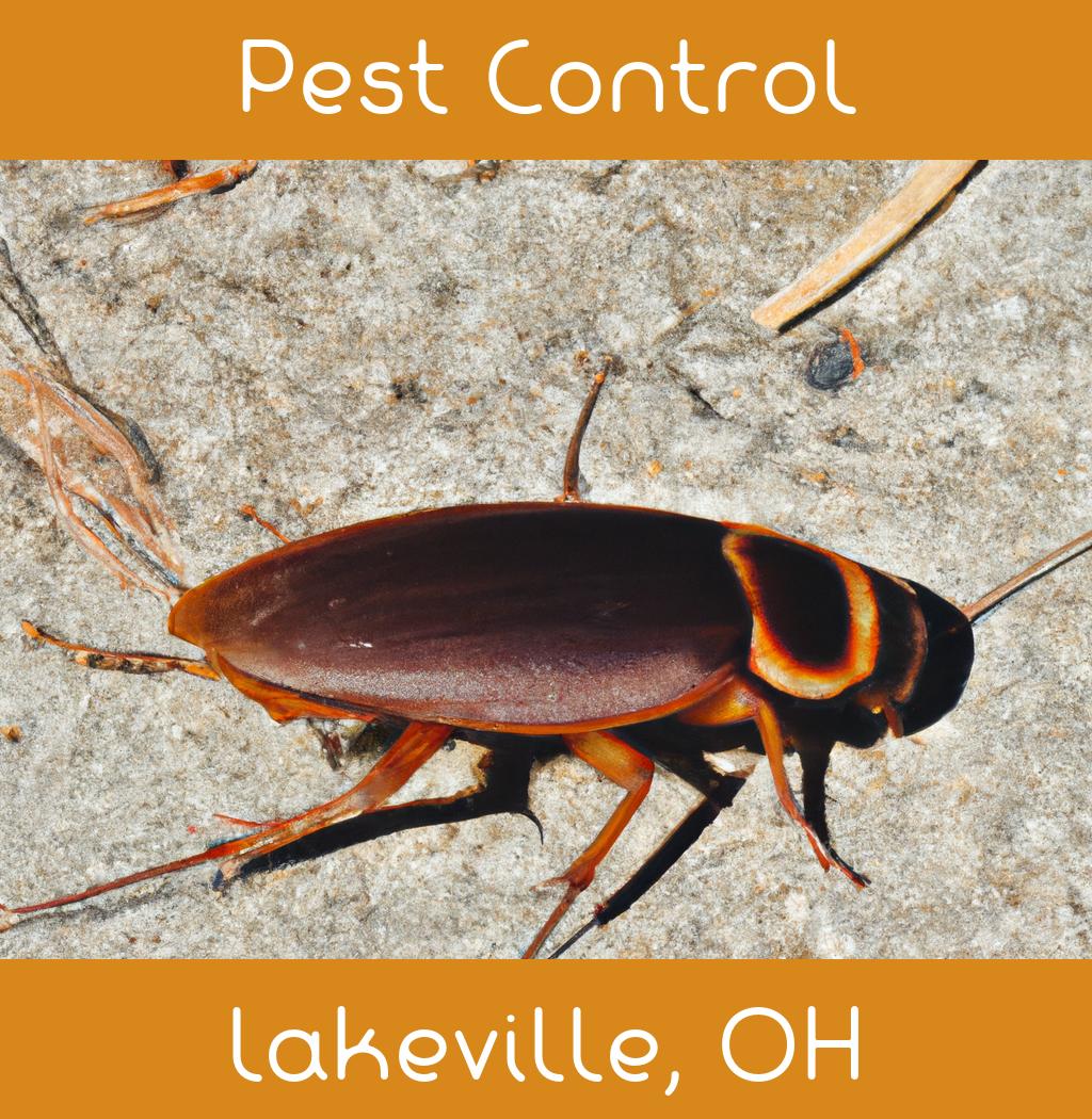 pest control in Lakeville Ohio