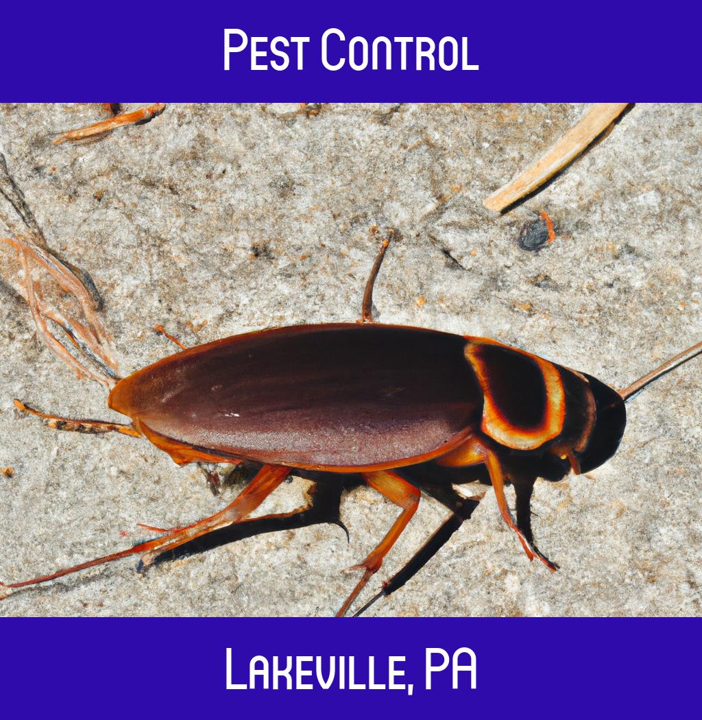 pest control in Lakeville Pennsylvania