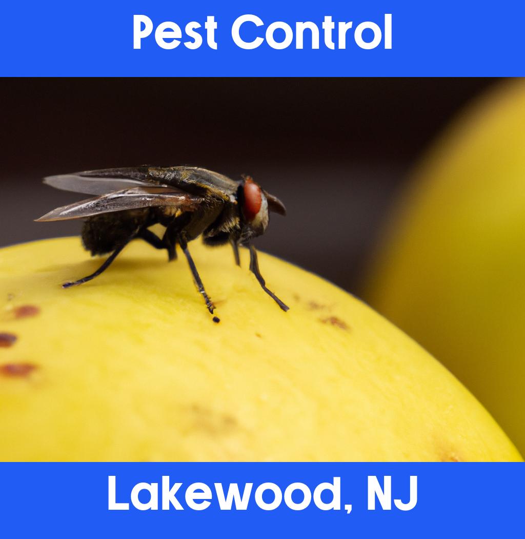 pest control in Lakewood New Jersey