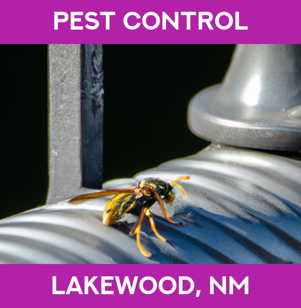 pest control in Lakewood New Mexico