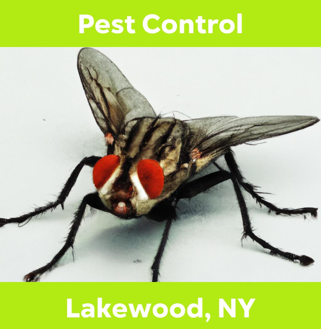 pest control in Lakewood New York