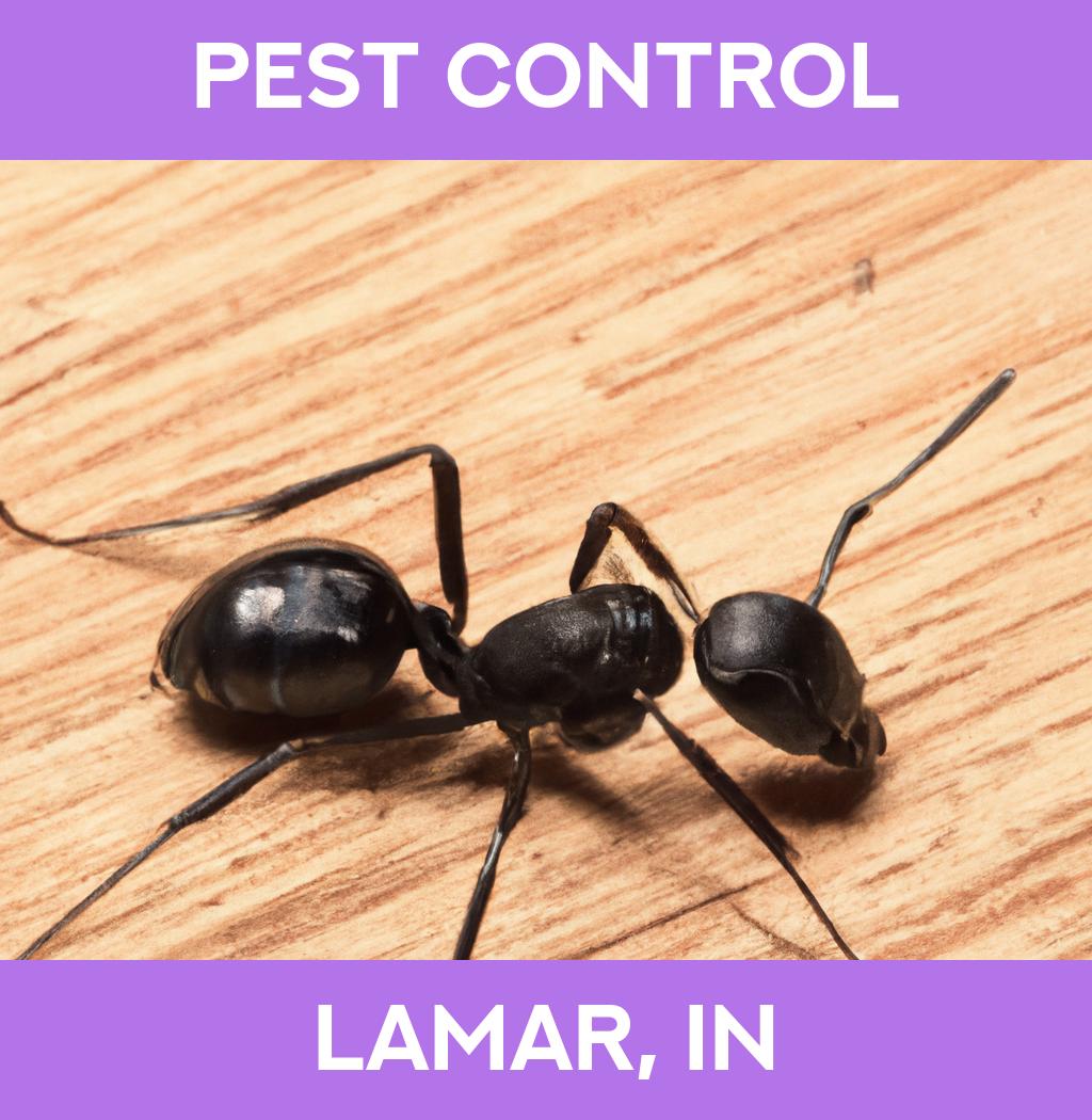 pest control in Lamar Indiana