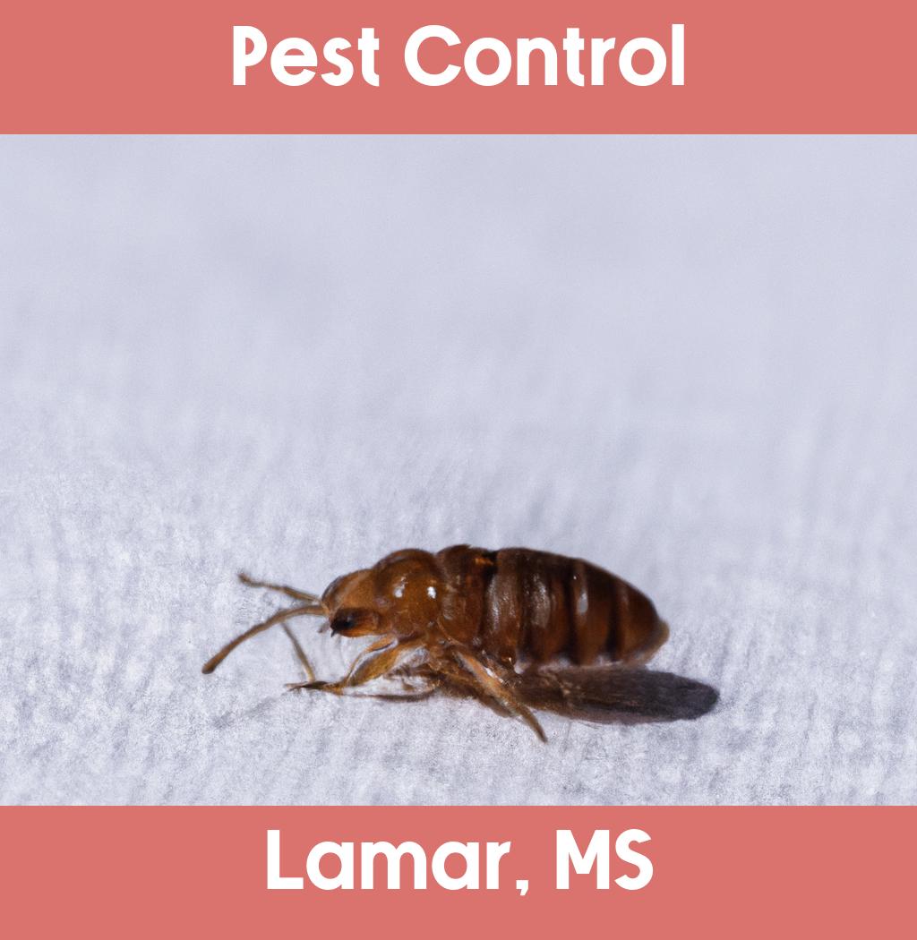 pest control in Lamar Mississippi