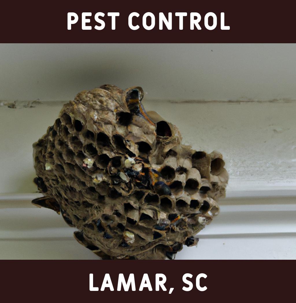 pest control in Lamar South Carolina