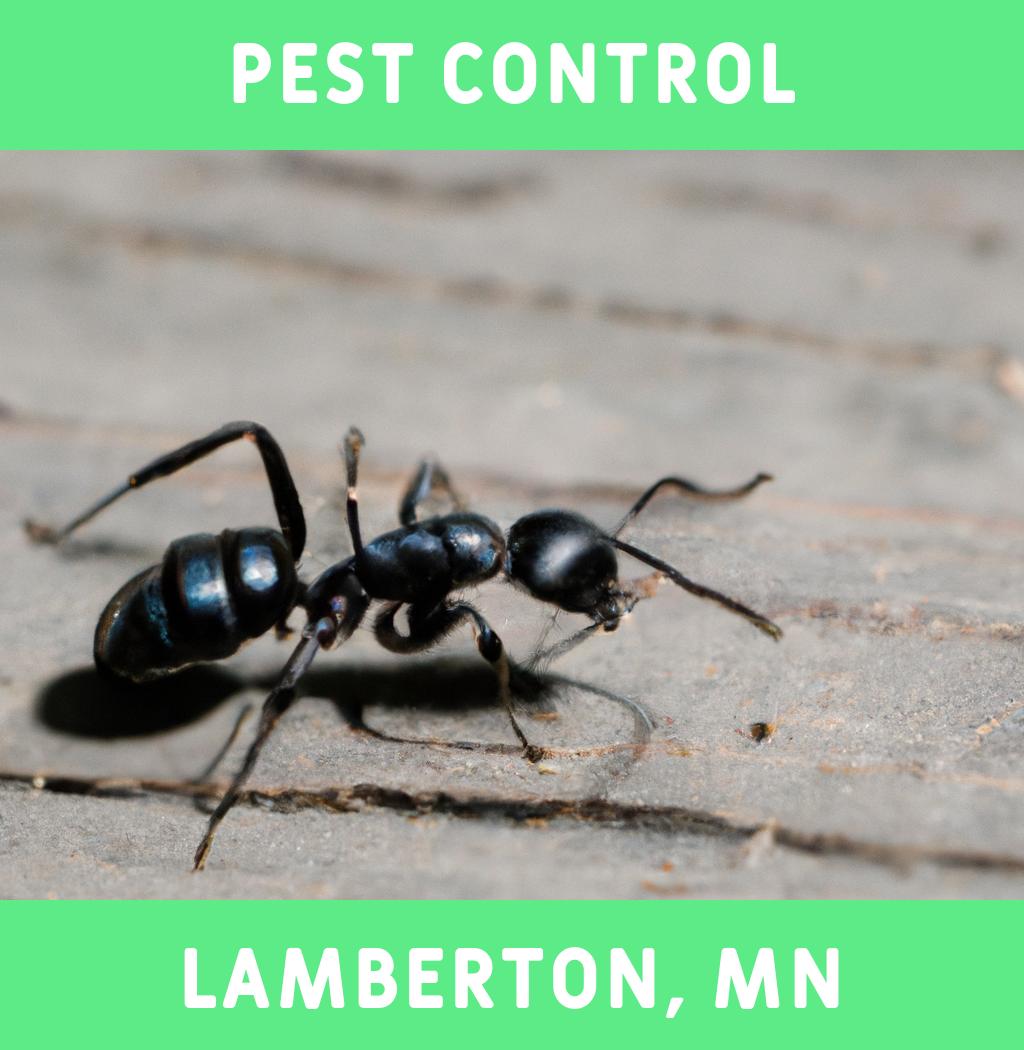 pest control in Lamberton Minnesota