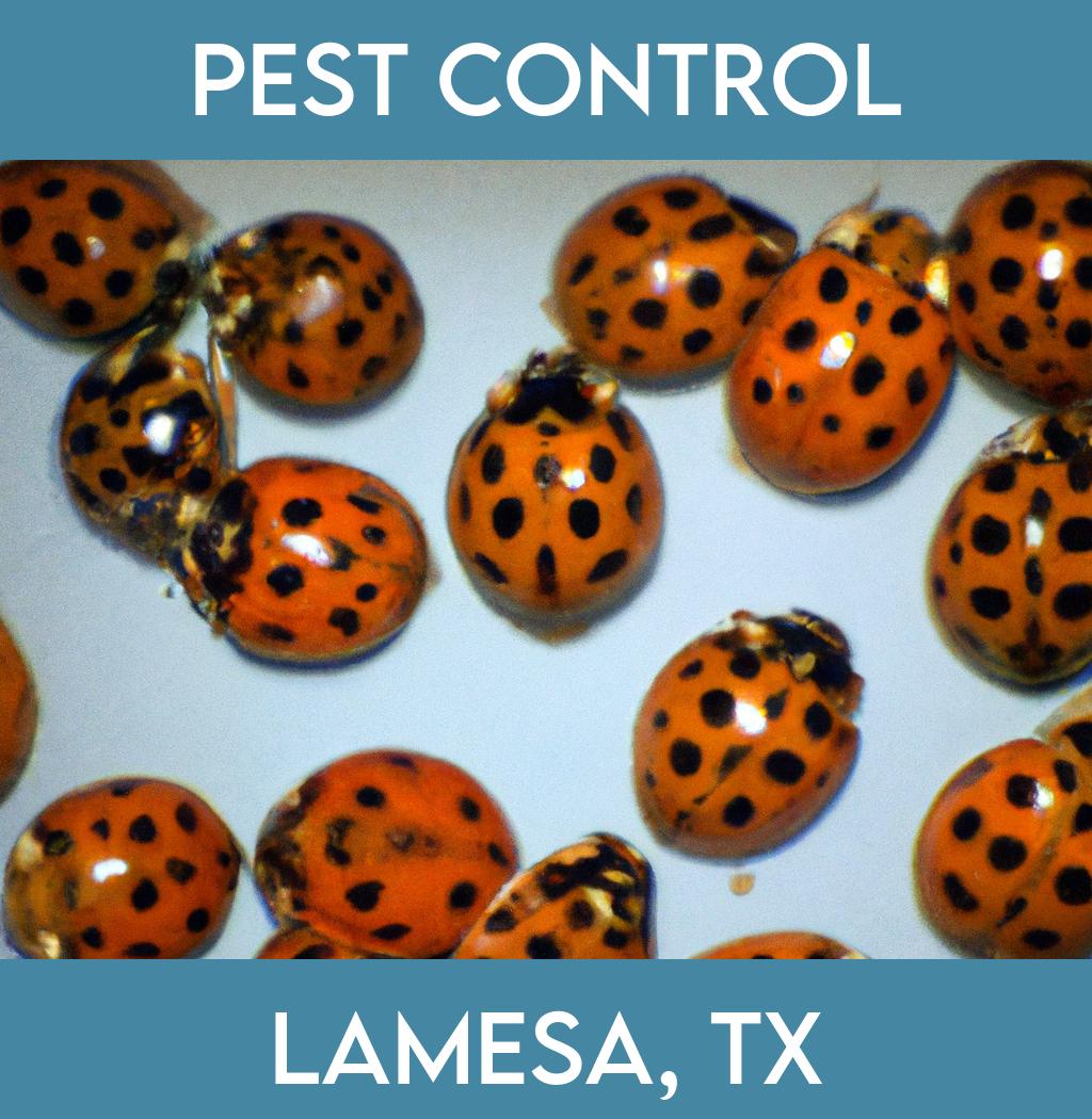 pest control in Lamesa Texas
