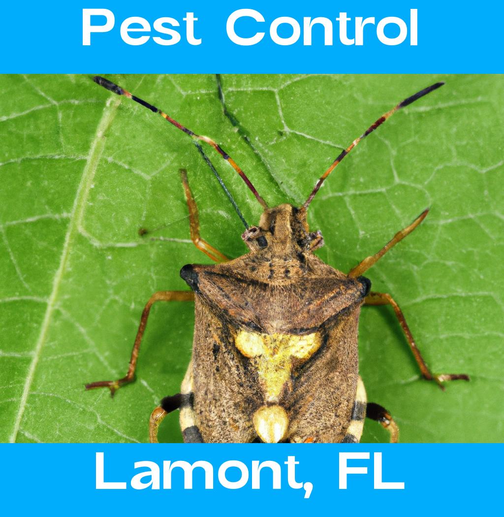 pest control in Lamont Florida