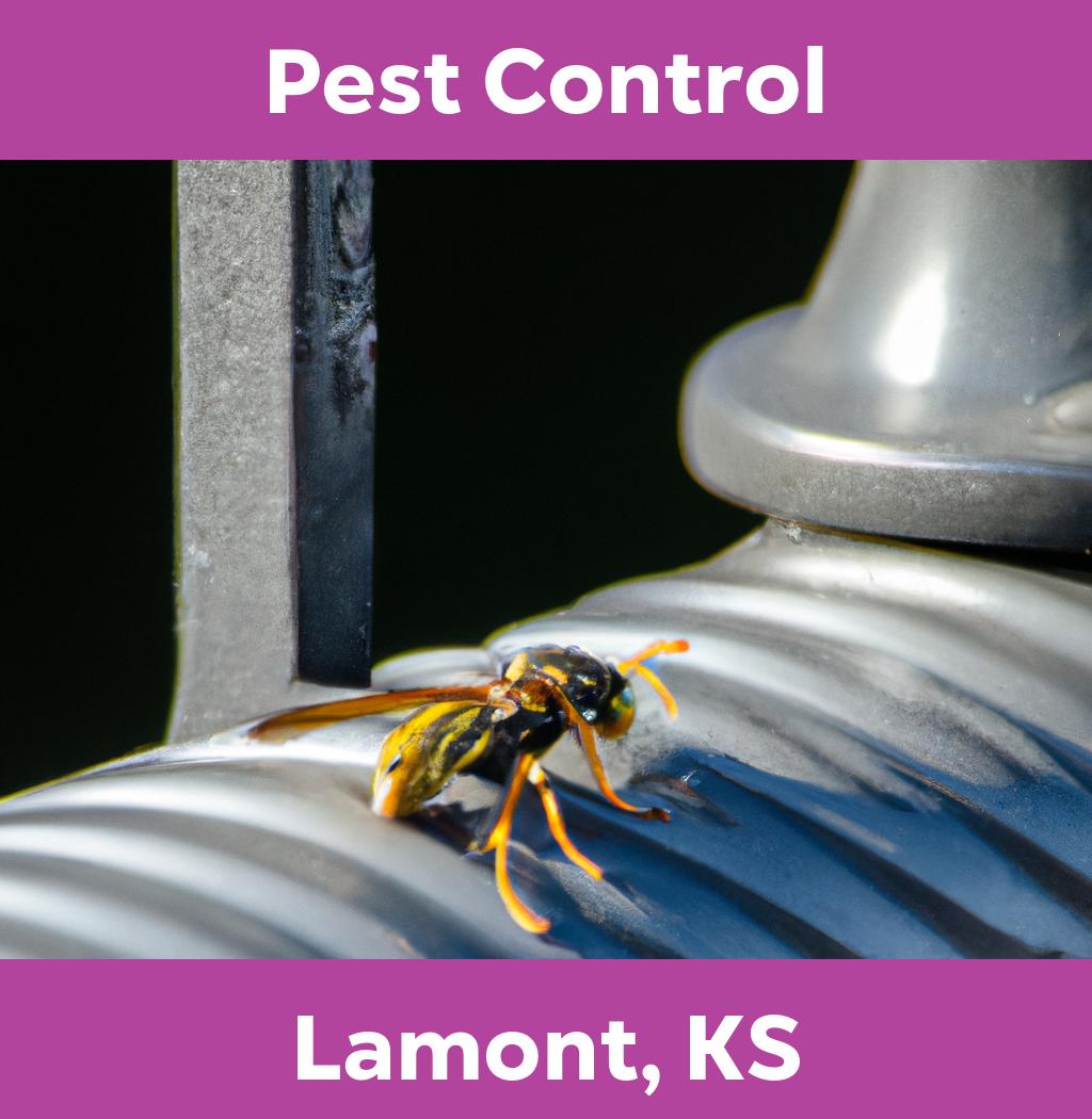 pest control in Lamont Kansas