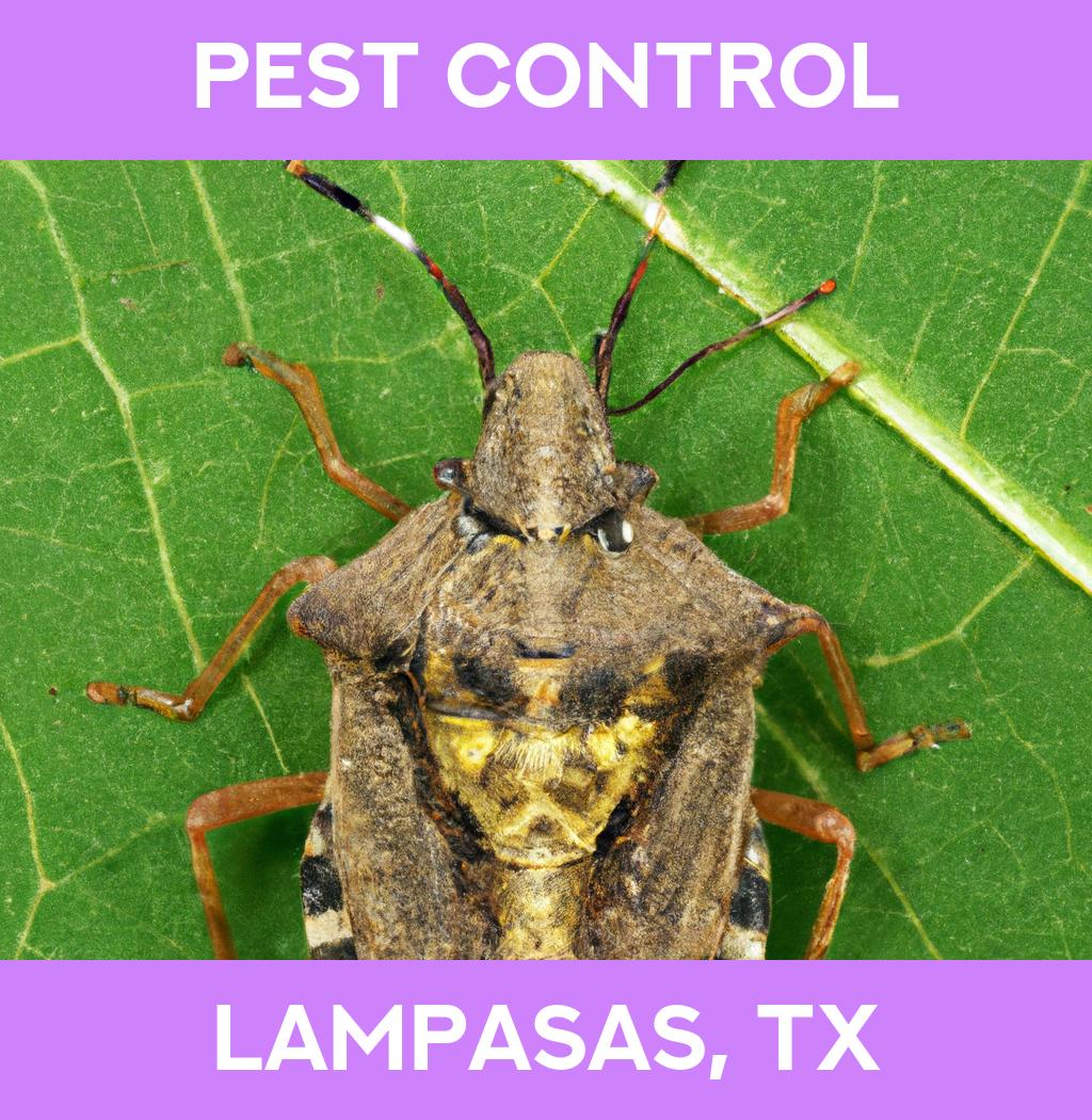 pest control in Lampasas Texas