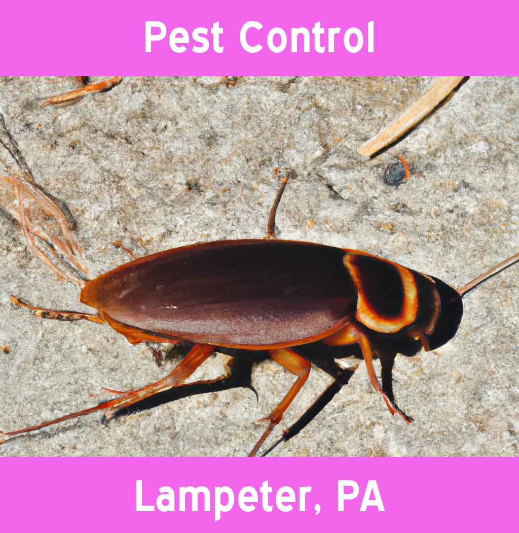 pest control in Lampeter Pennsylvania