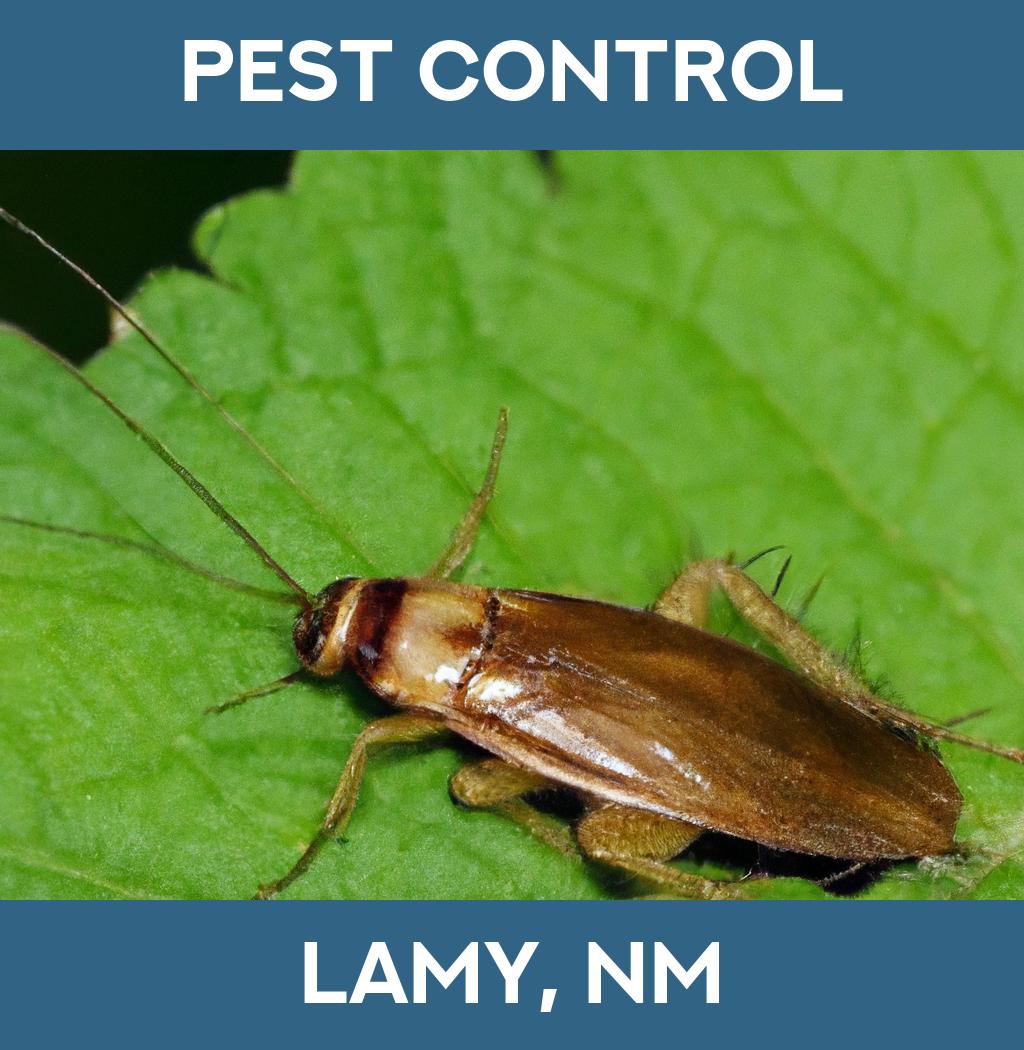 pest control in Lamy New Mexico