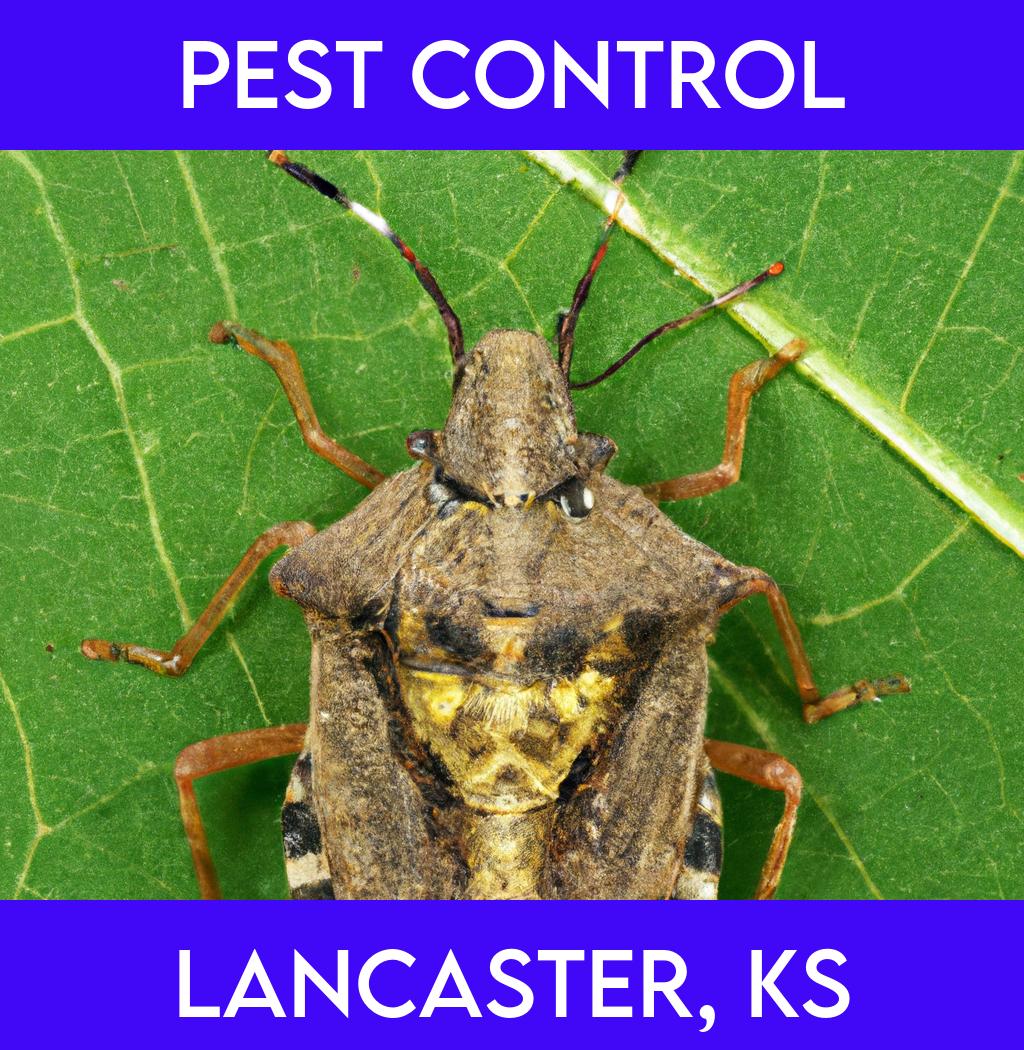 pest control in Lancaster Kansas