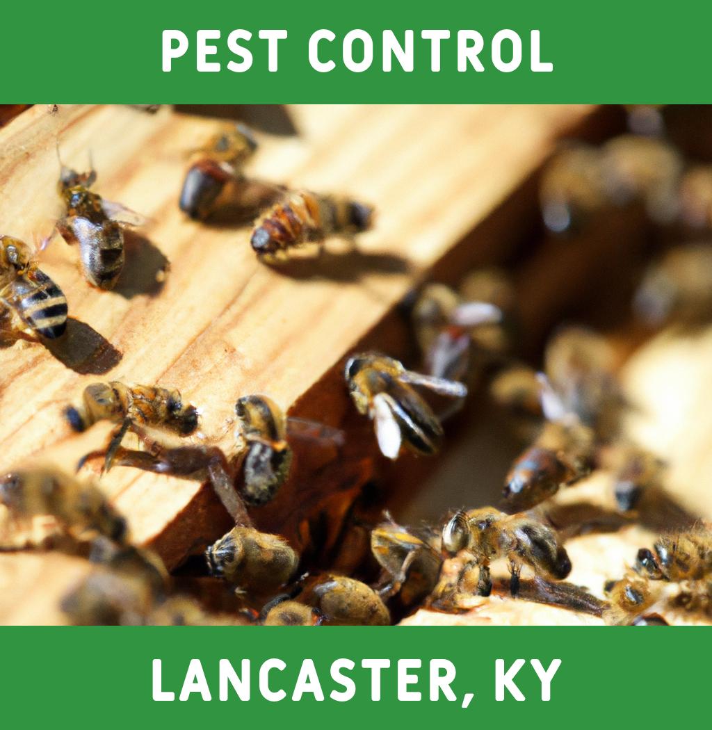 pest control in Lancaster Kentucky