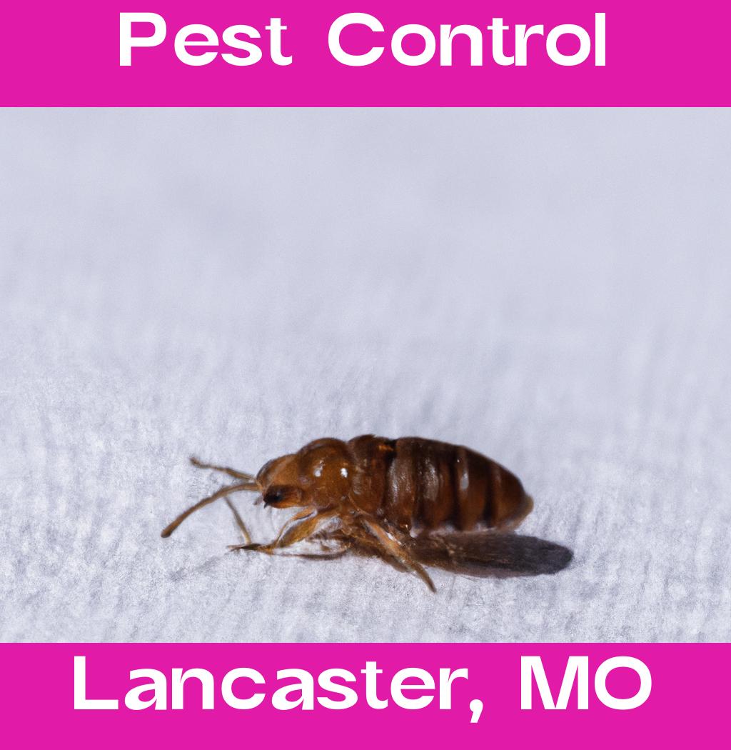 pest control in Lancaster Missouri