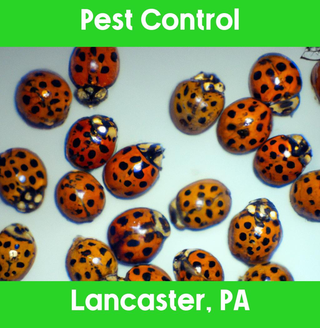 pest control in Lancaster Pennsylvania