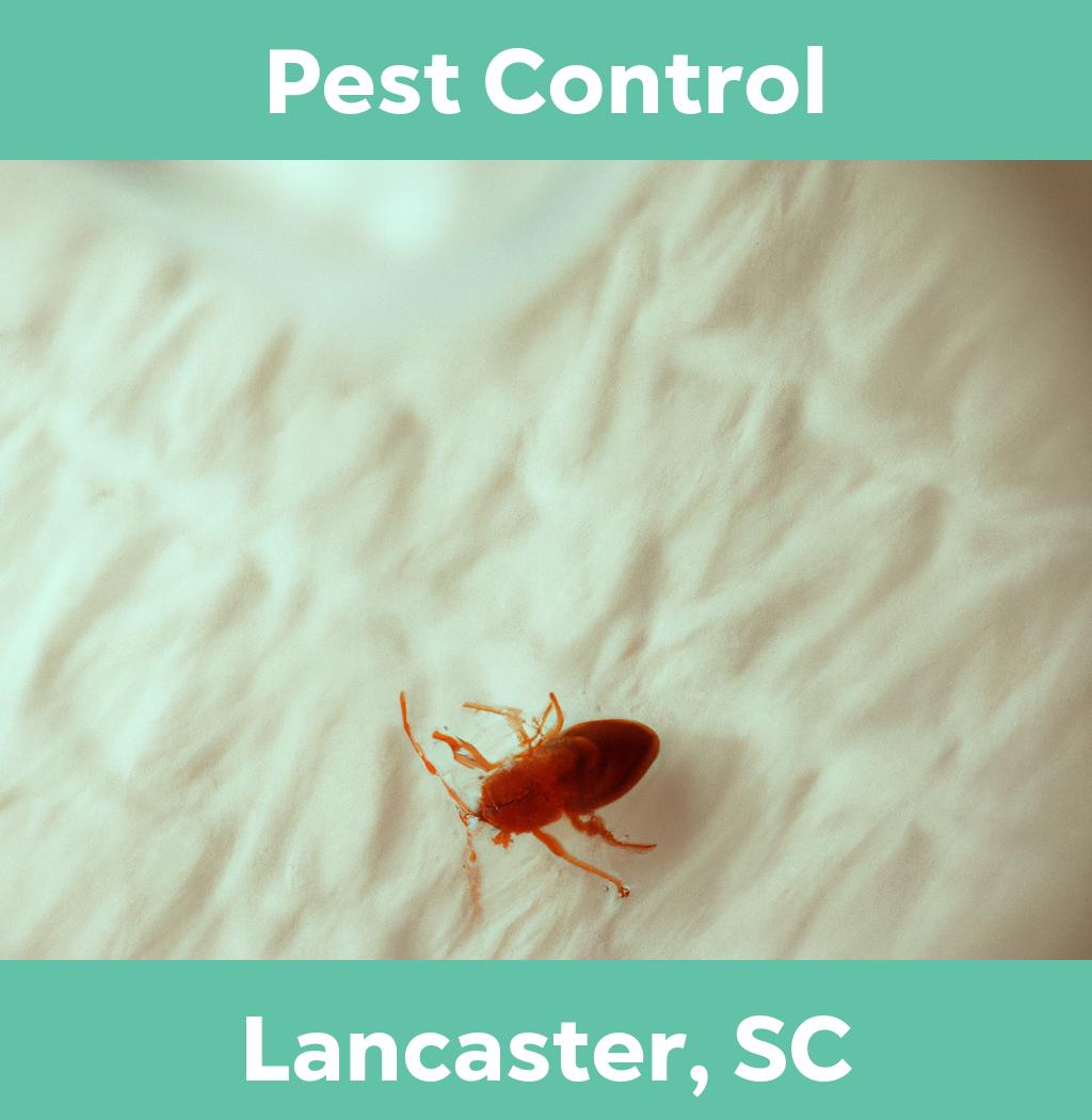 pest control in Lancaster South Carolina