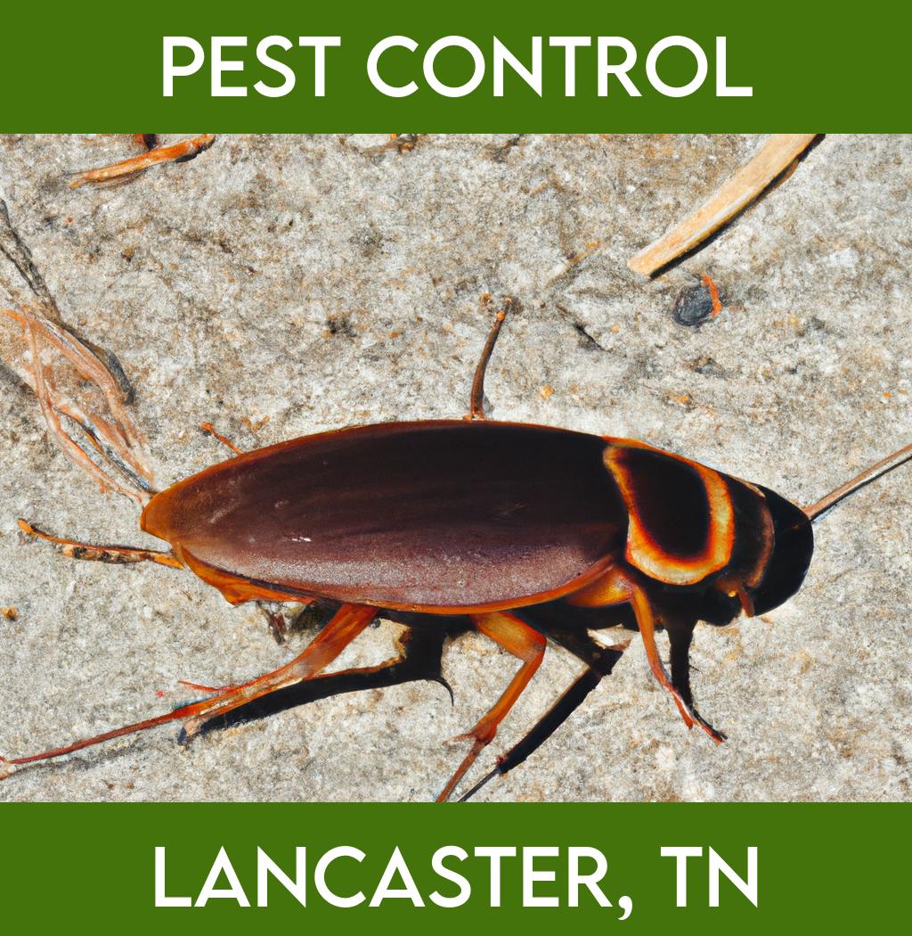 pest control in Lancaster Tennessee