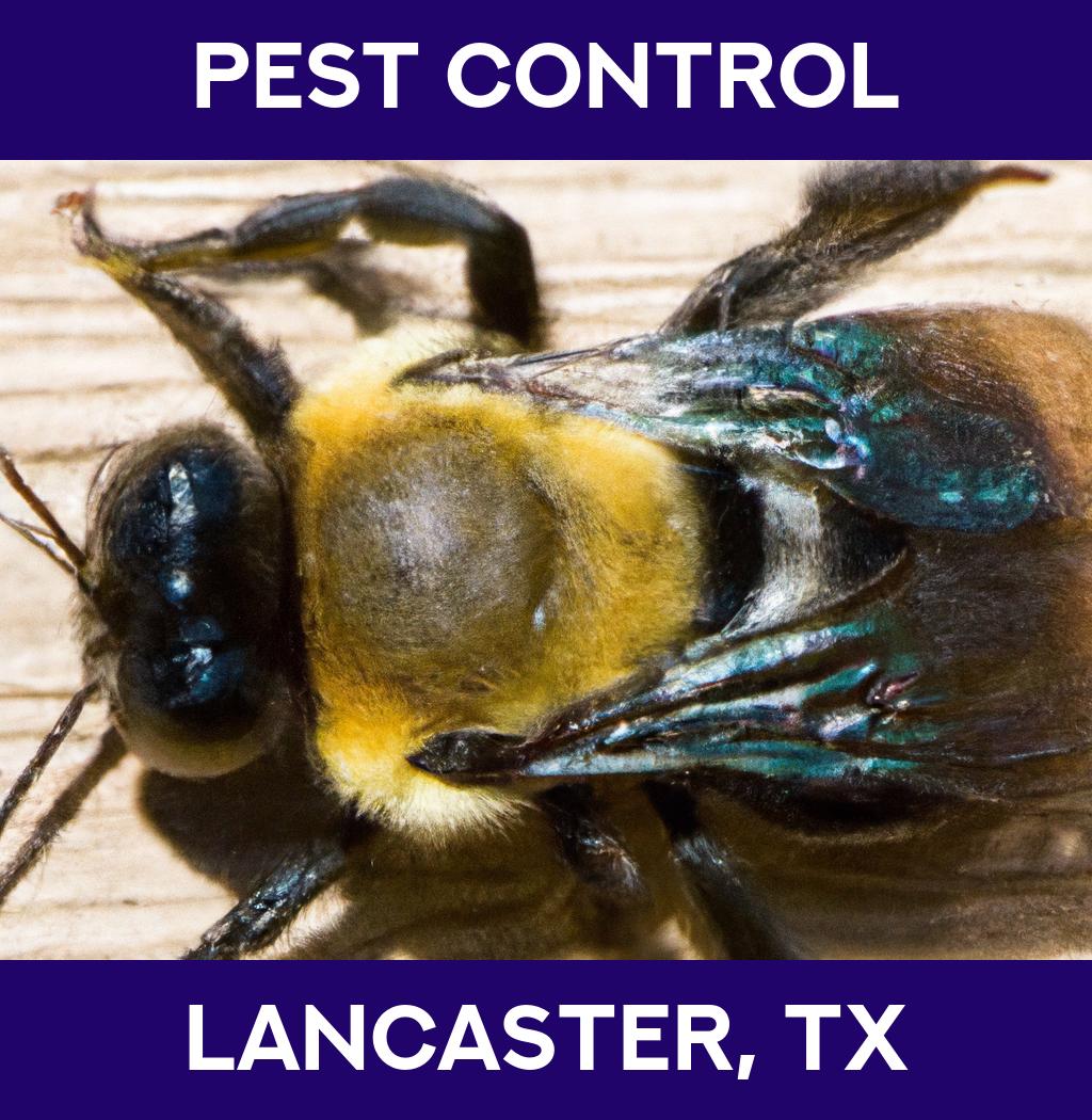 pest control in Lancaster Texas