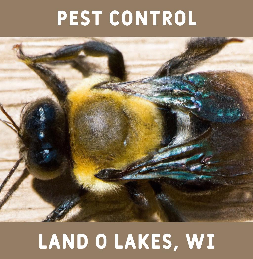 pest control in Land O Lakes Wisconsin