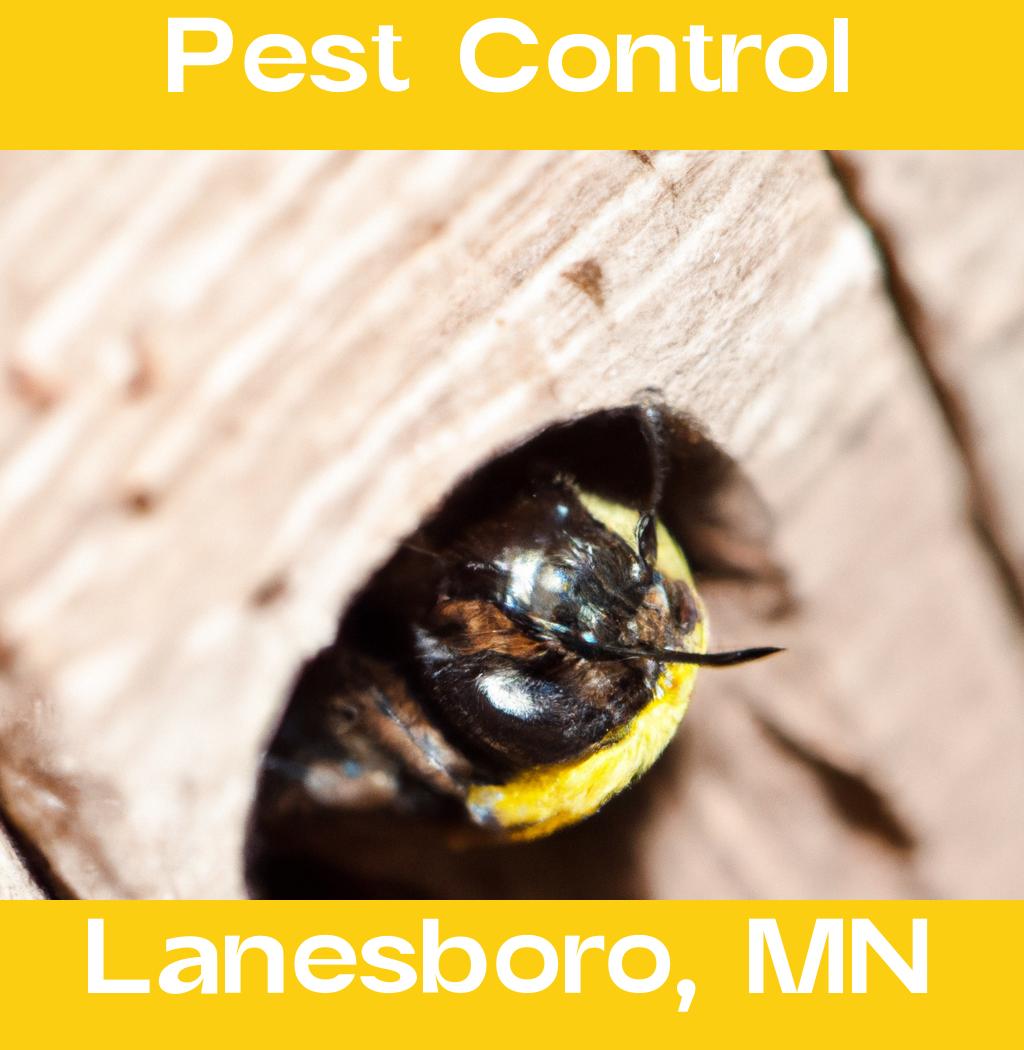 pest control in Lanesboro Minnesota