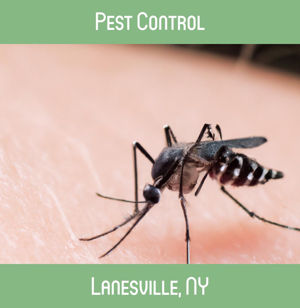 pest control in Lanesville New York