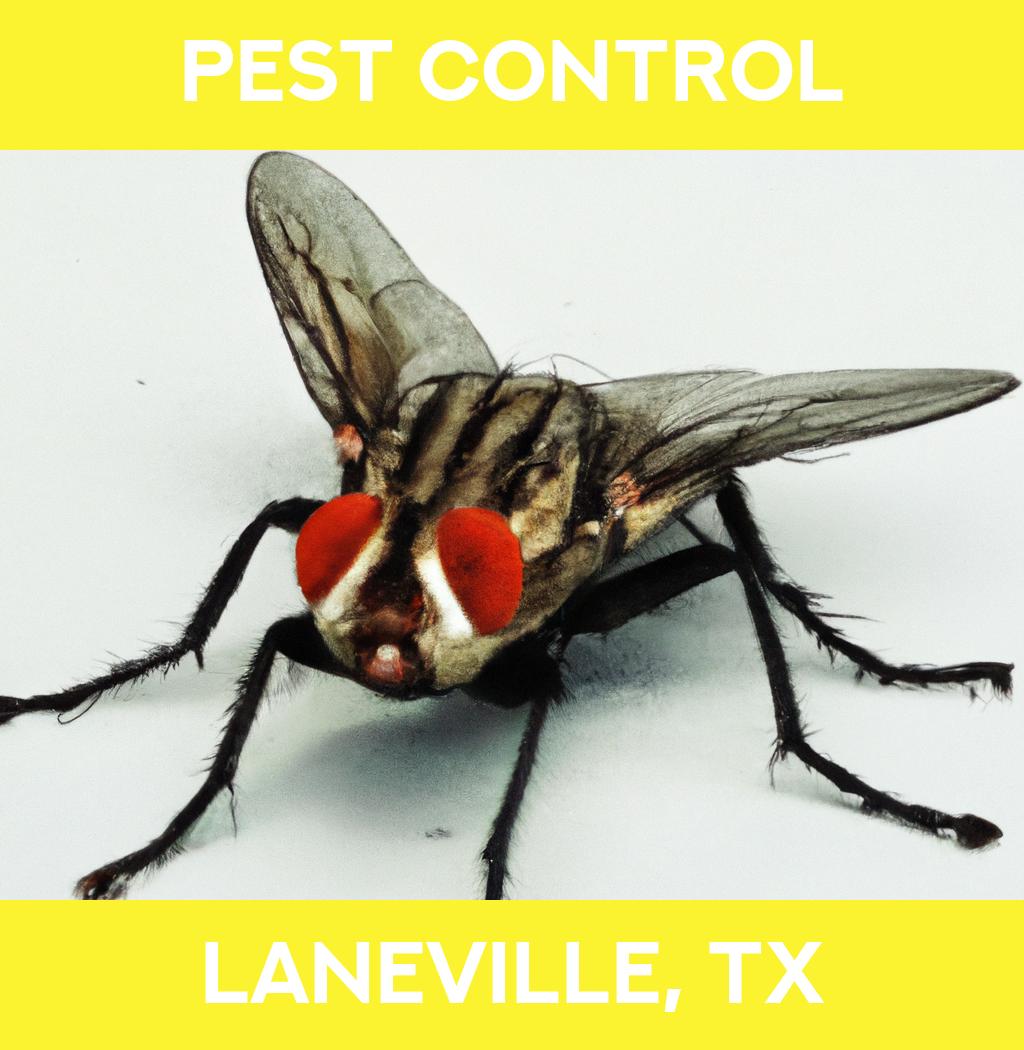 pest control in Laneville Texas