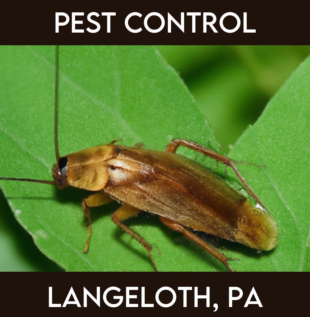 pest control in Langeloth Pennsylvania