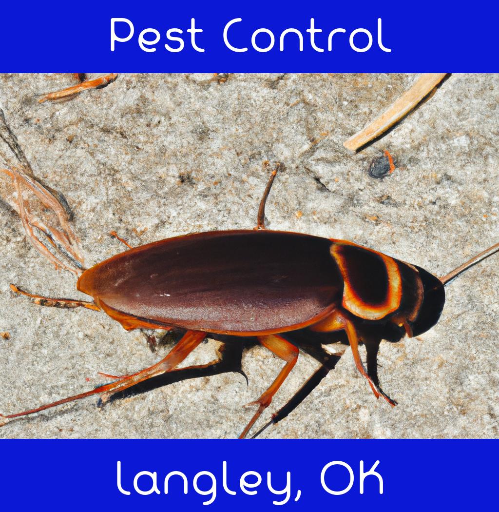 pest control in Langley Oklahoma