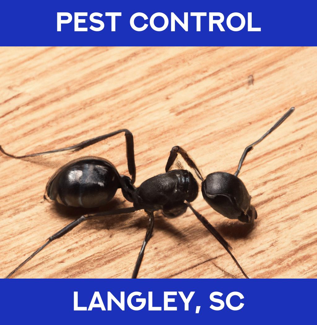 pest control in Langley South Carolina