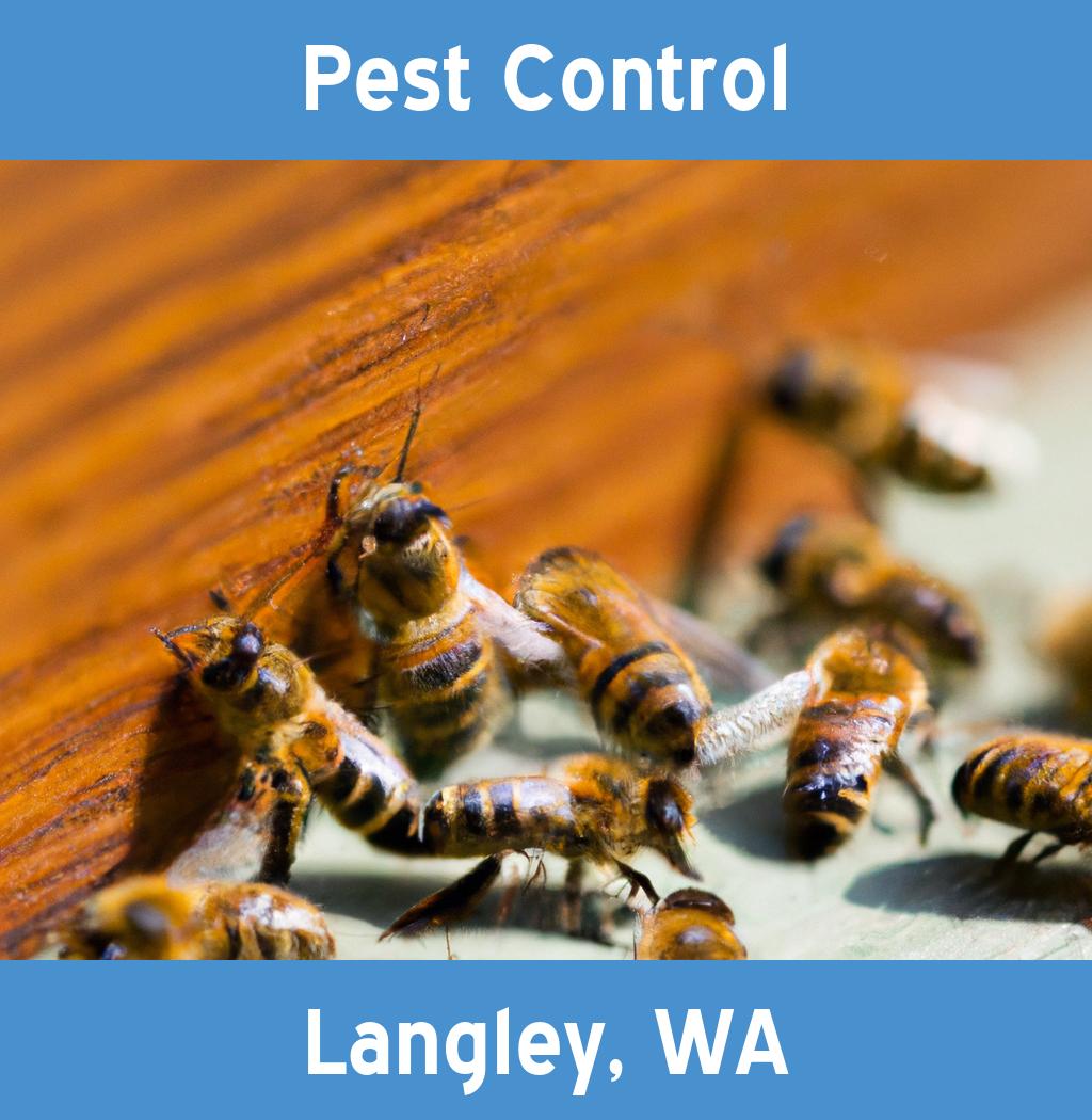 pest control in Langley Washington