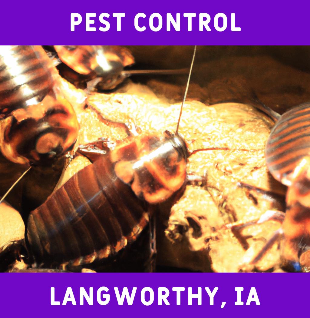 pest control in Langworthy Iowa