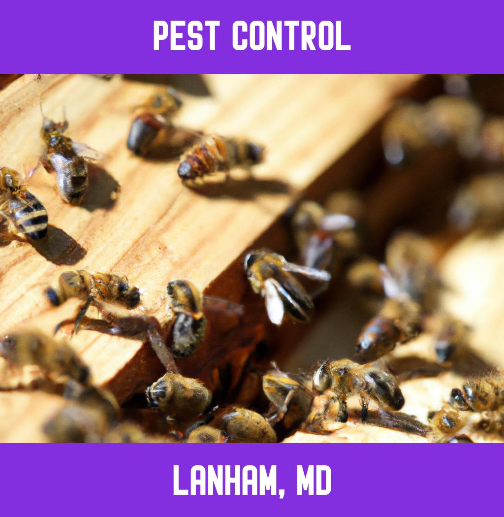 pest control in Lanham Maryland