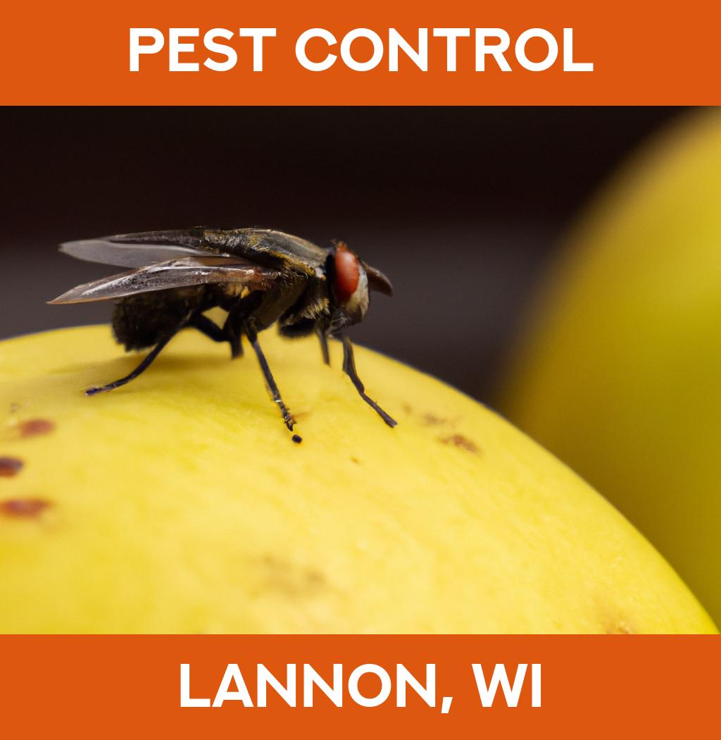 pest control in Lannon Wisconsin