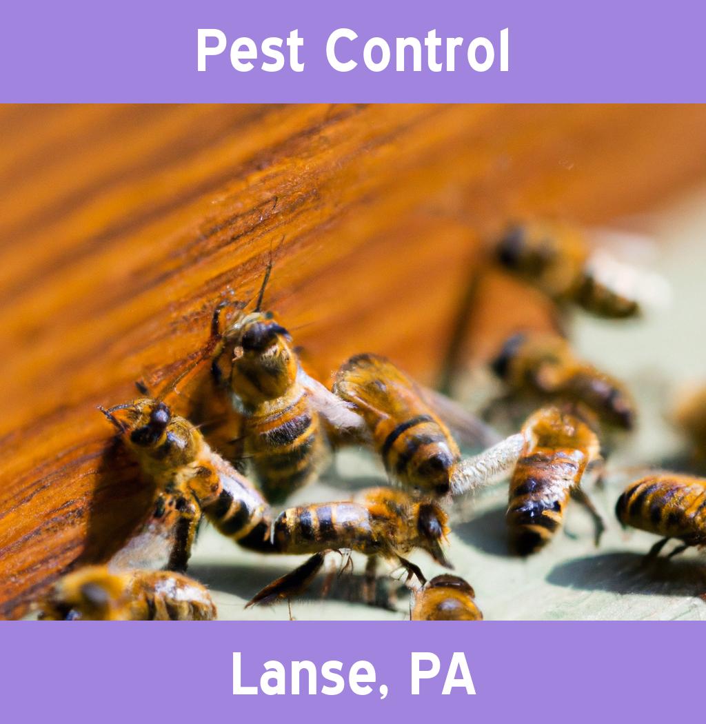 pest control in Lanse Pennsylvania