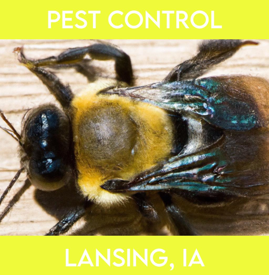 pest control in Lansing Iowa