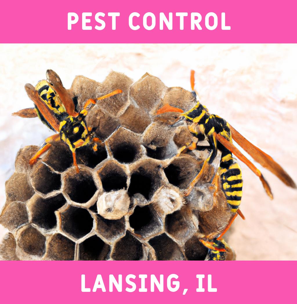 pest control in Lansing Illinois