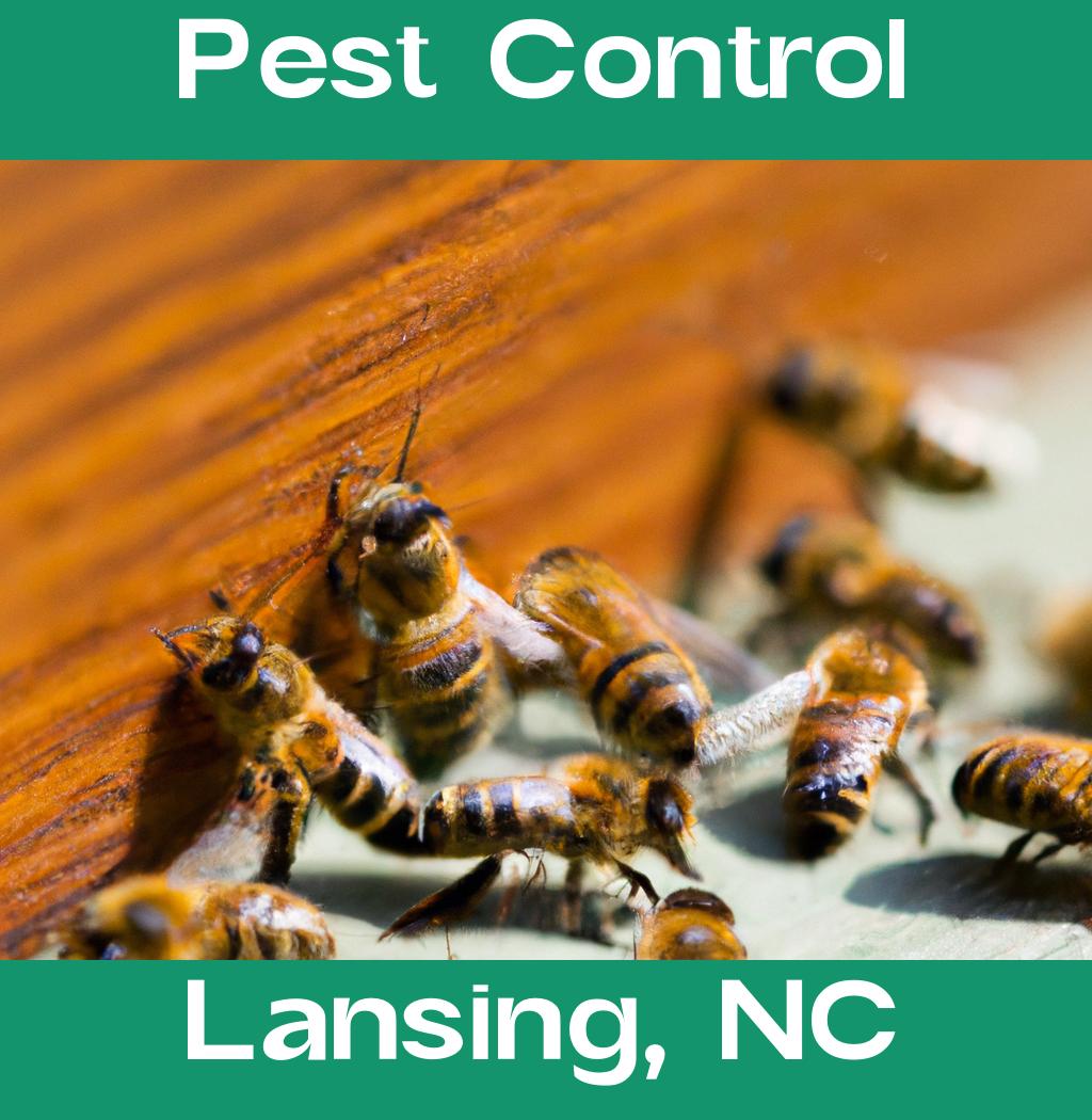 pest control in Lansing North Carolina