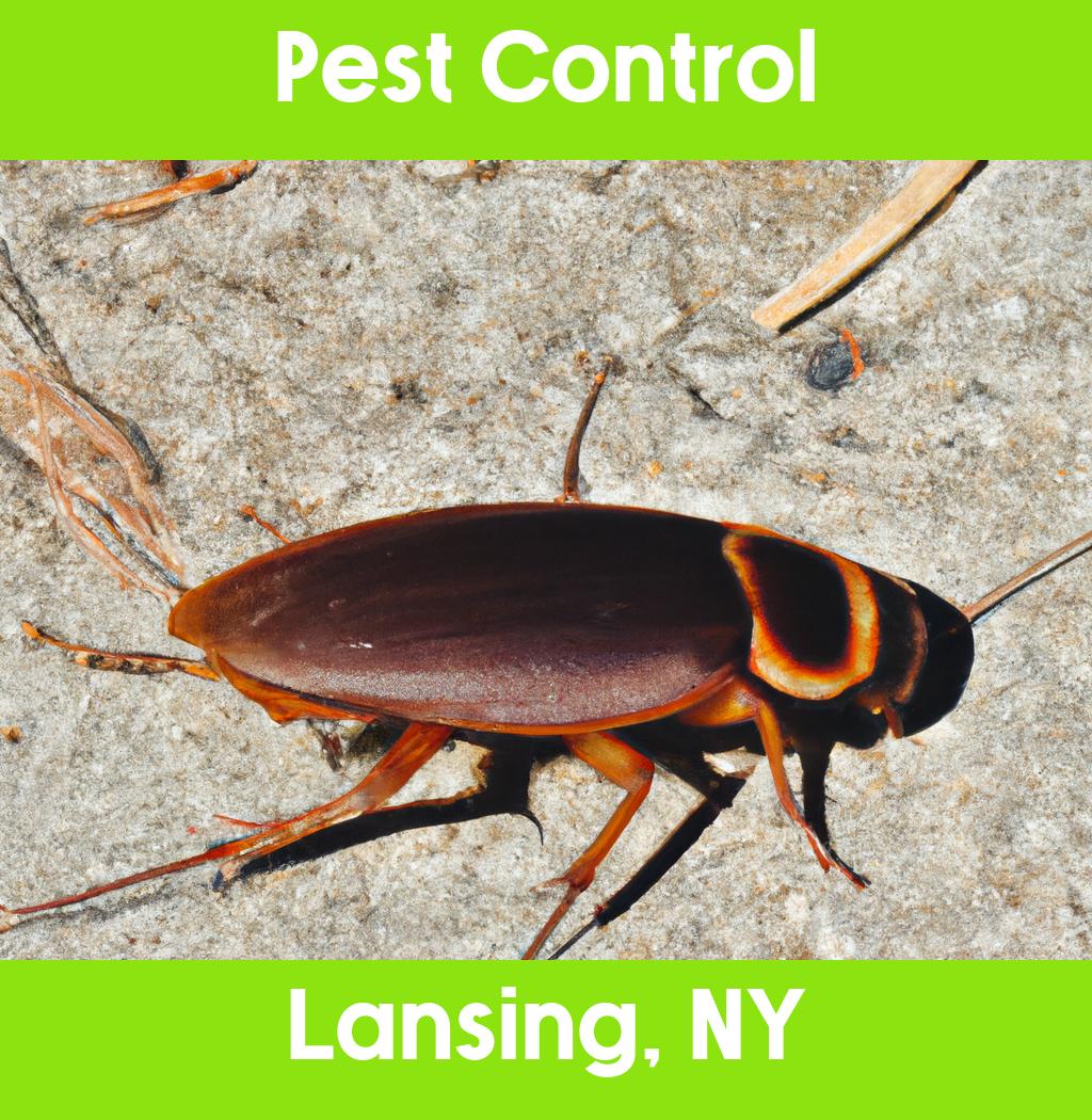 pest control in Lansing New York