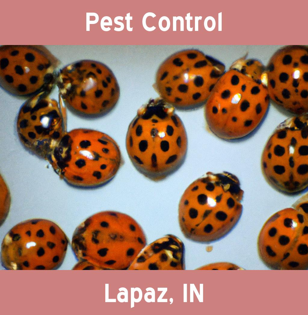 pest control in Lapaz Indiana