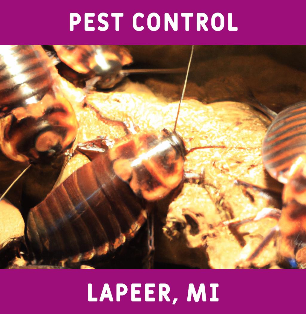 pest control in Lapeer Michigan