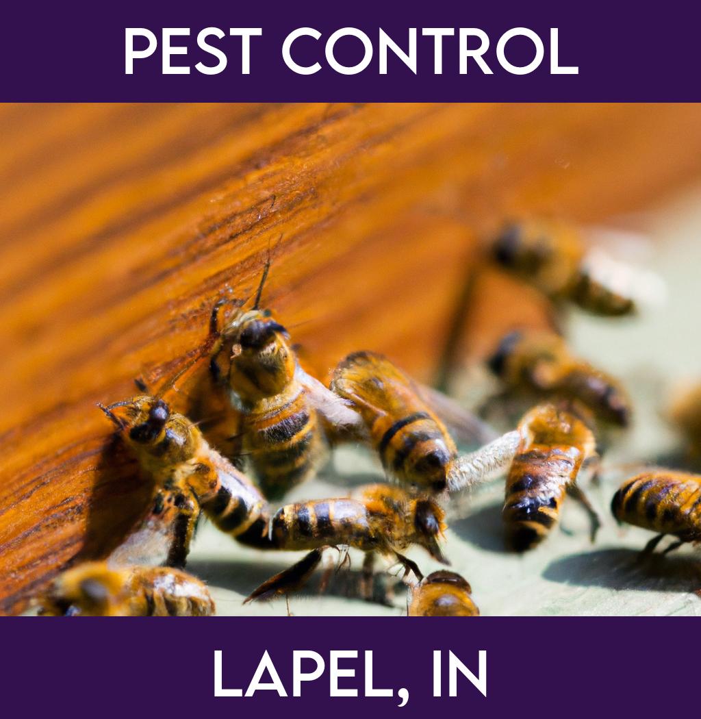 pest control in Lapel Indiana