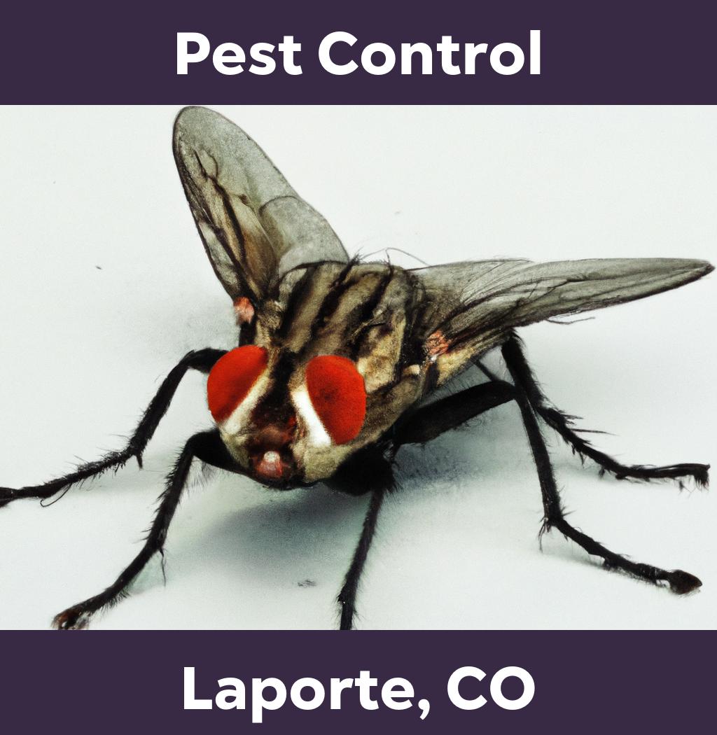 pest control in Laporte Colorado