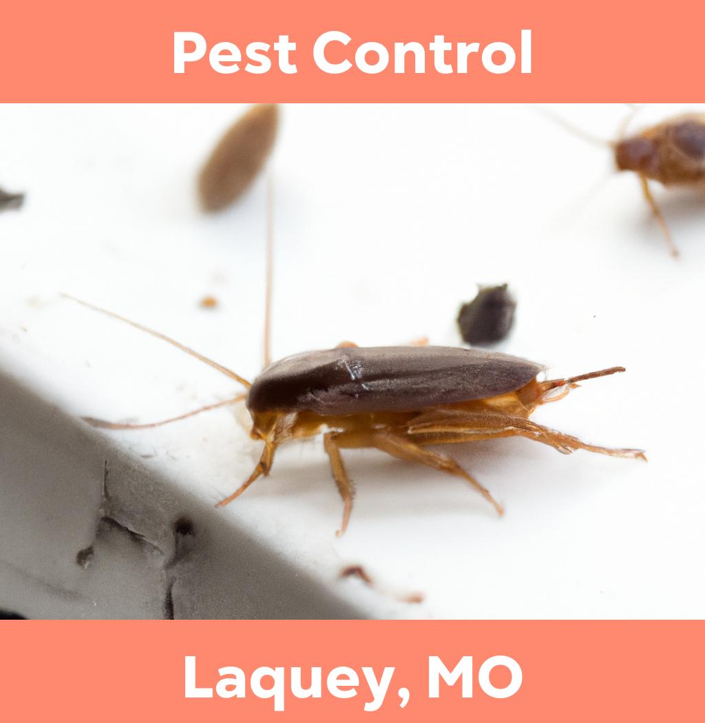 pest control in Laquey Missouri