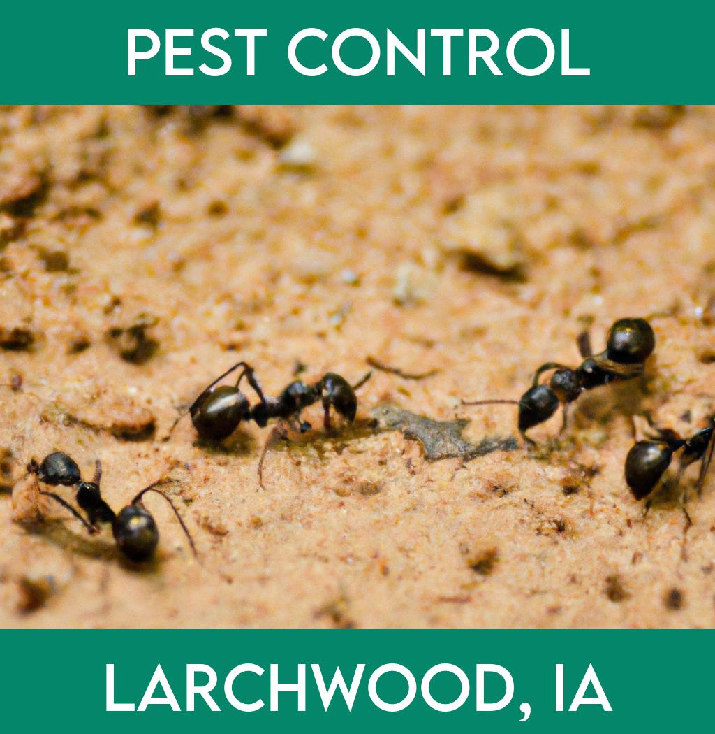 pest control in Larchwood Iowa