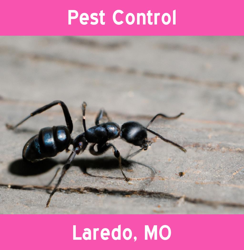pest control in Laredo Missouri